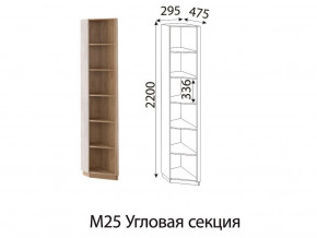 М25 Угловая секция в Нязепетровске - nyazepetrovsk.magazin-mebel74.ru | фото