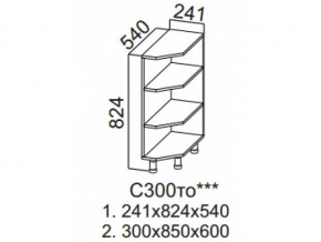 С300то Стол-рабочий 300 (торцевой открытый) в Нязепетровске - nyazepetrovsk.magazin-mebel74.ru | фото