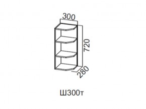 Ш300т/720 Шкаф навесной 300/720 (торцевой) в Нязепетровске - nyazepetrovsk.magazin-mebel74.ru | фото