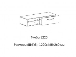 Тумба 1220 (низкая) в Нязепетровске - nyazepetrovsk.magazin-mebel74.ru | фото